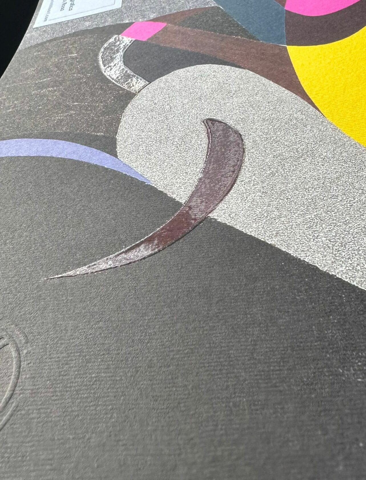 WhatsApp Image 2026-02-02 at 14.26.42